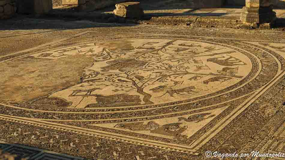 que-ver-volubilis-marruecos