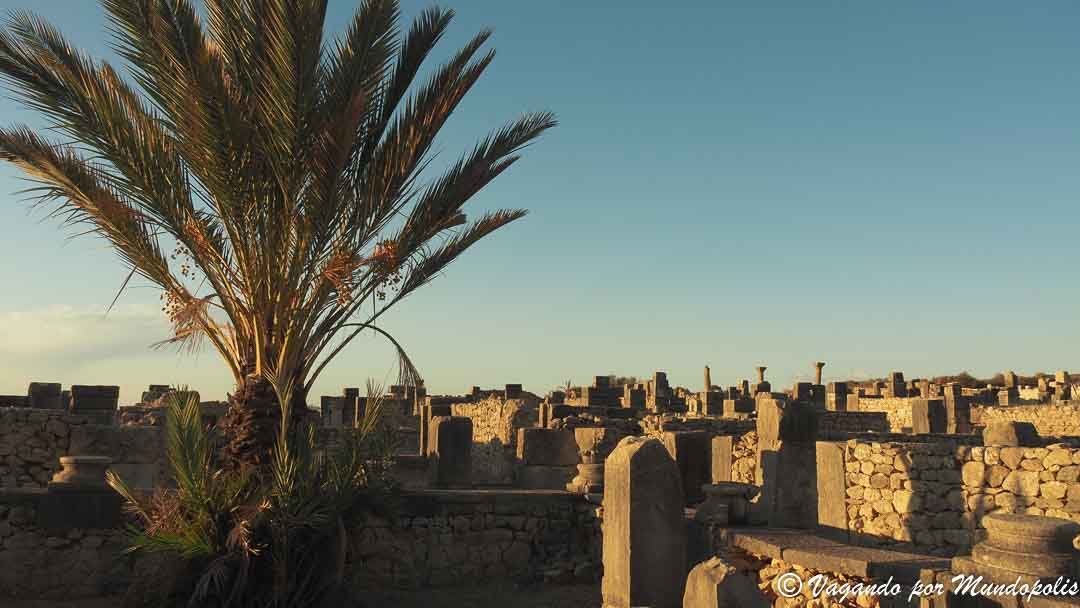 Volubilis-ciudad-romana-marruecos