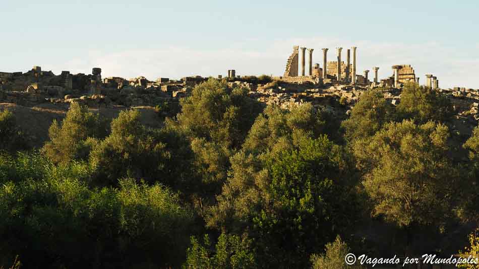 Volubilis-ciudad-romana-marruecos