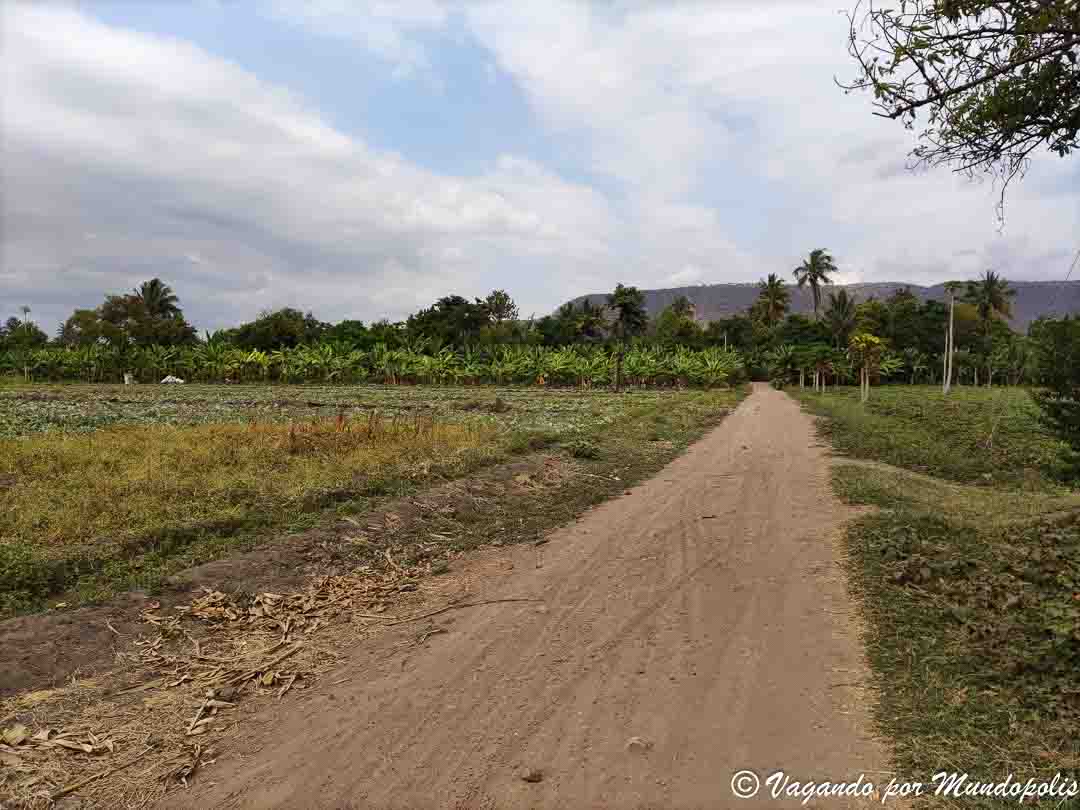 que-ver-en-mto-wa-mbu-tanzania