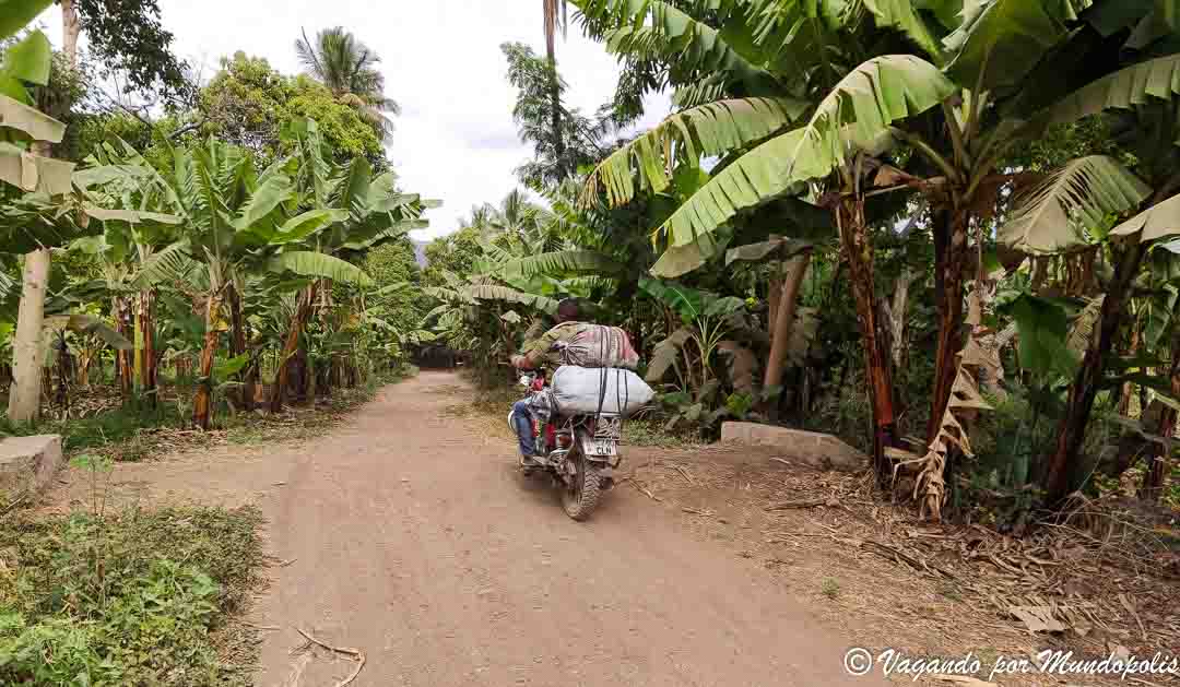 que-hacer-en-mto-wa-mbu-tanzania