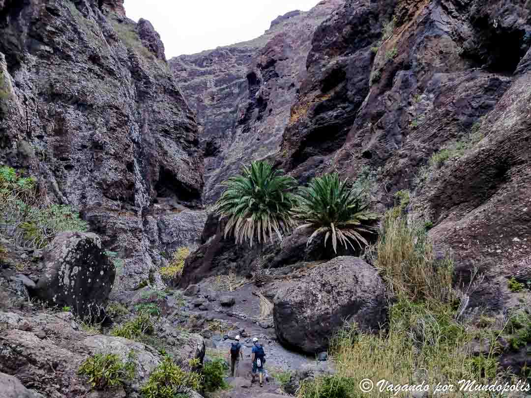 barranco-de-masca