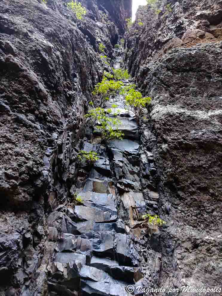 barranco-de-masca