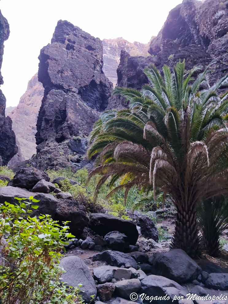 barranco-de-masca