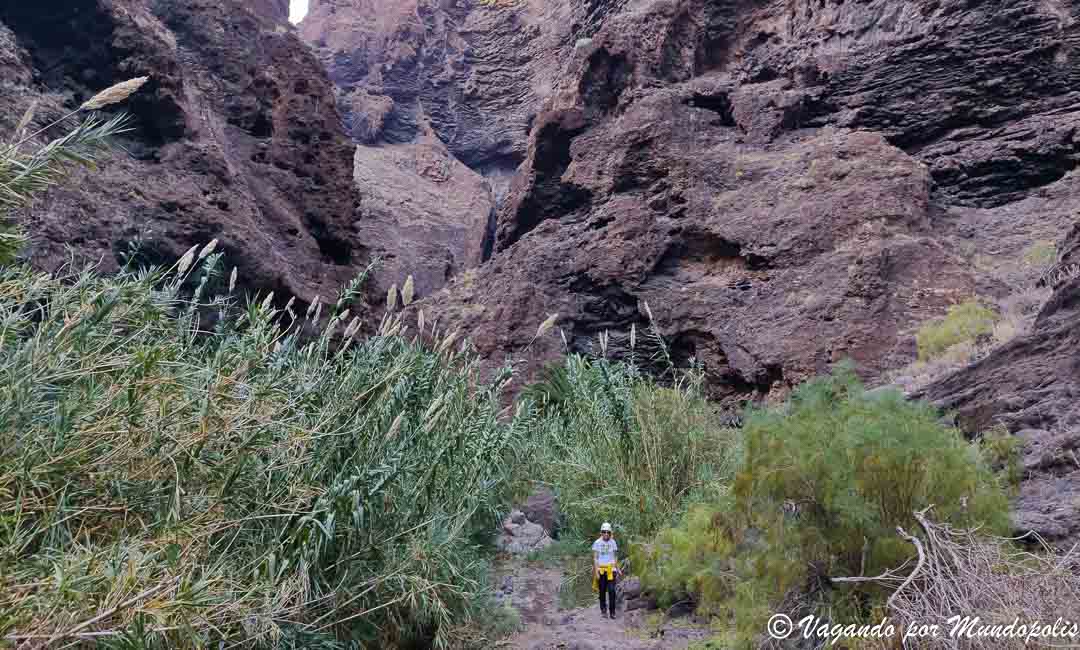 barranco-de-masca