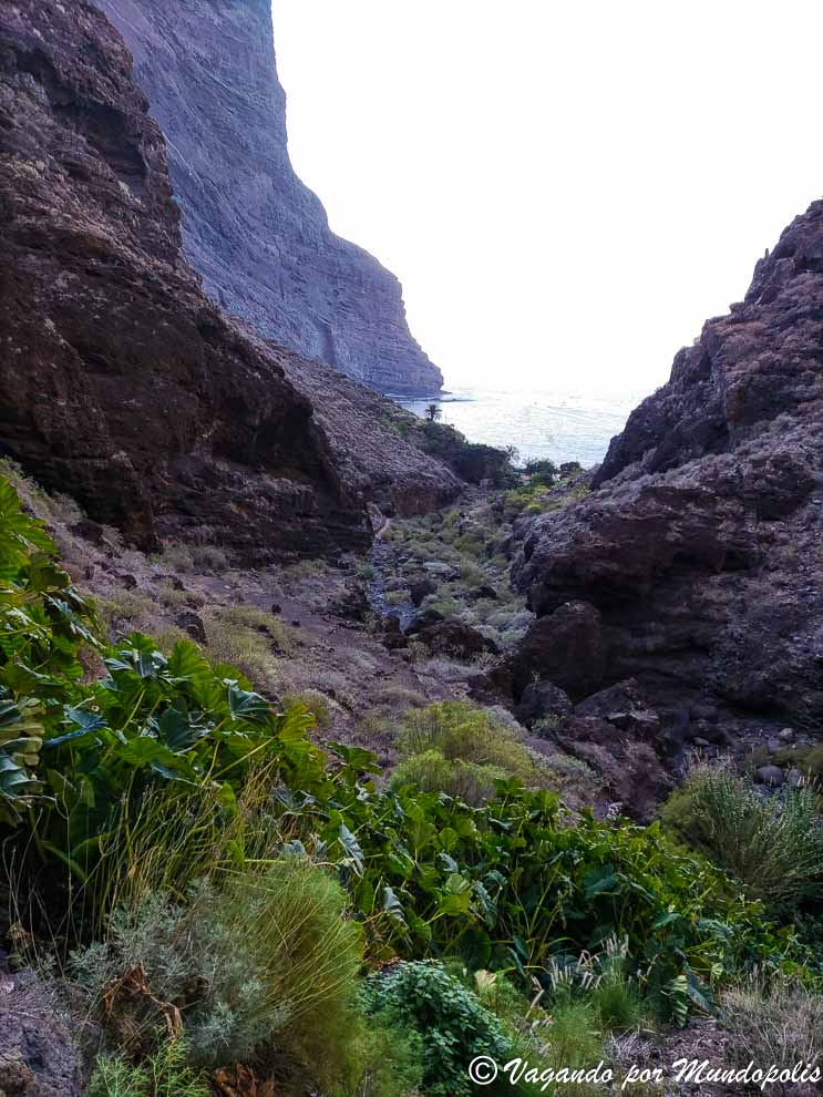 barranco-de-masca