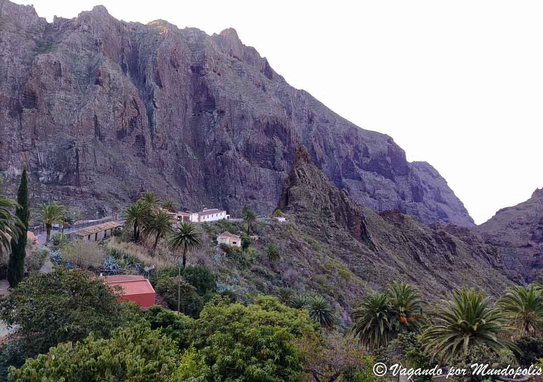 masca-tenerife