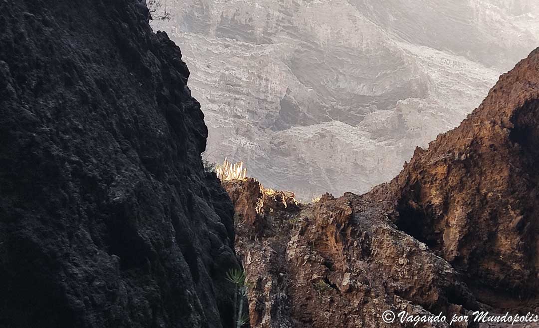 barranco-de-masca