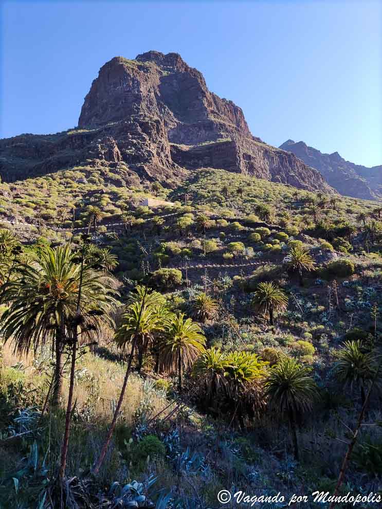 barranco-de-masca
