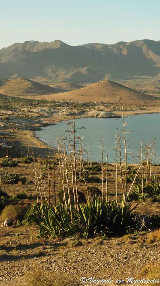 que-hacer-en-cabo-de-gata-en-tres-dias