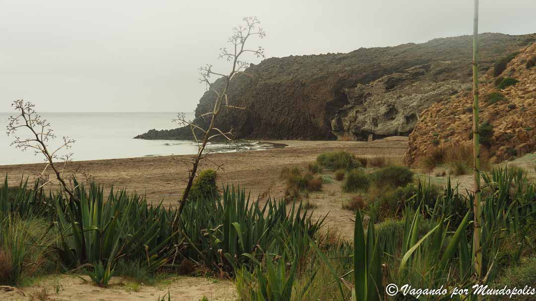 que-hacer-en-cabo-de-gata-en-tres-dias