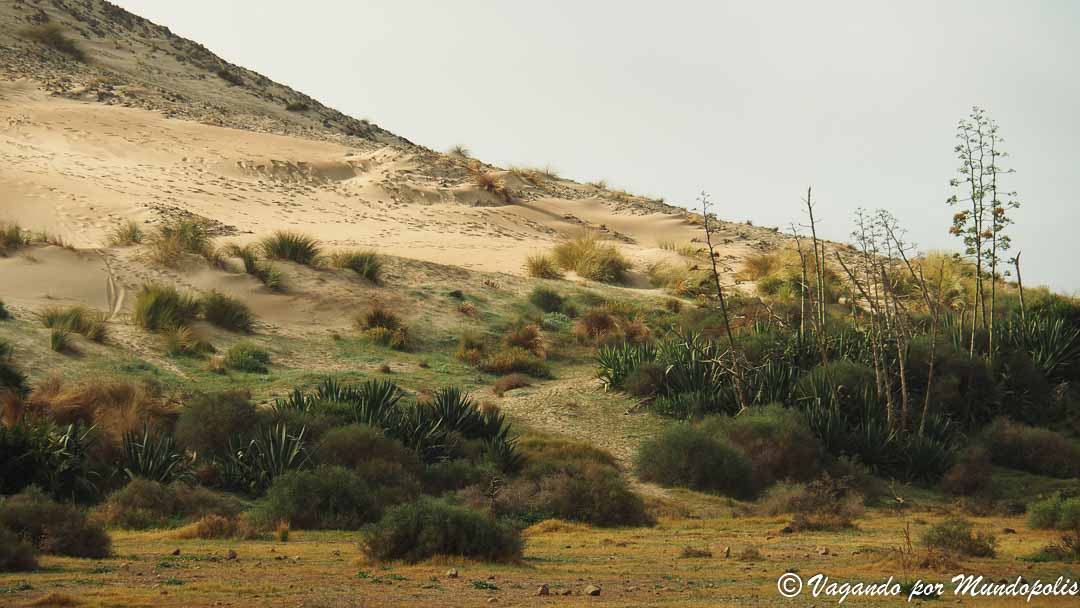 playa-de-barronal-cabo-de-gata