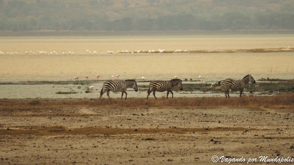viaje-crater-ngorongoro-tanzania