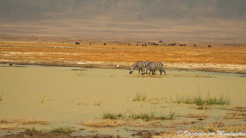viaje-crater-ngorongoro
