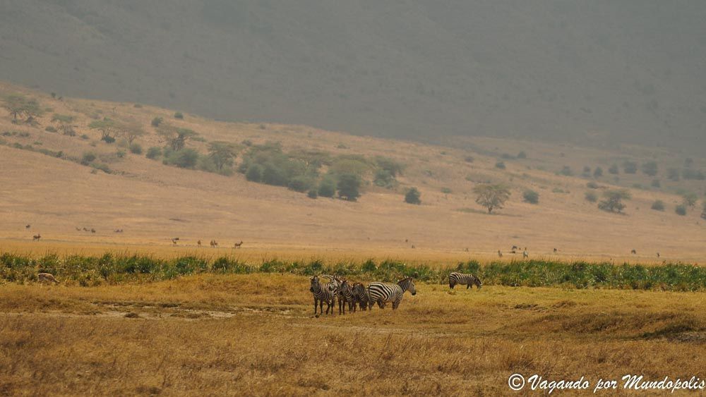 viaje-crater-ngorongoro