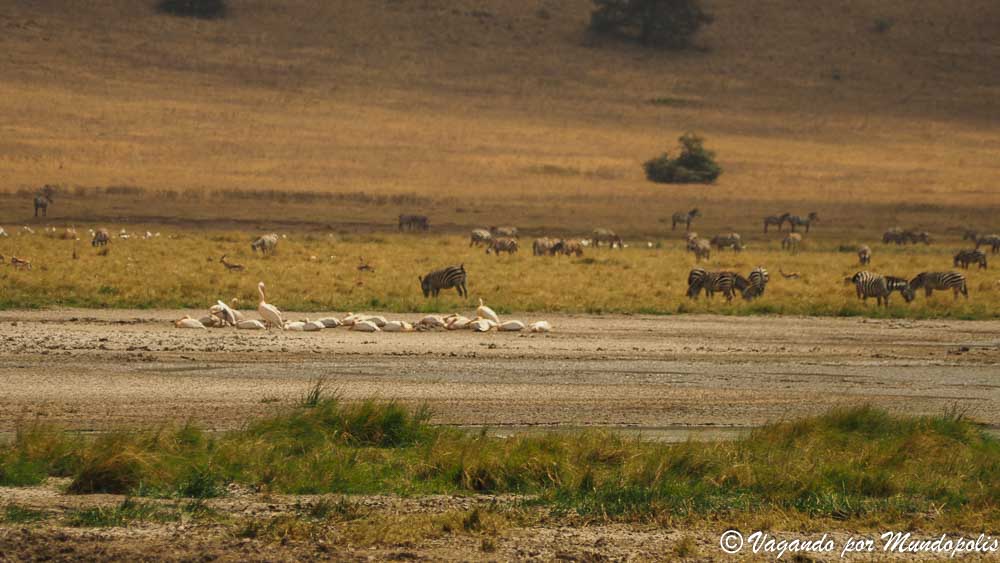 viaje-crater-ngorongoro-tanzania