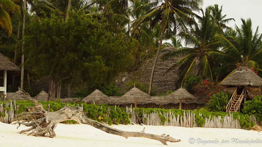 que-hacer-en-zanzibar