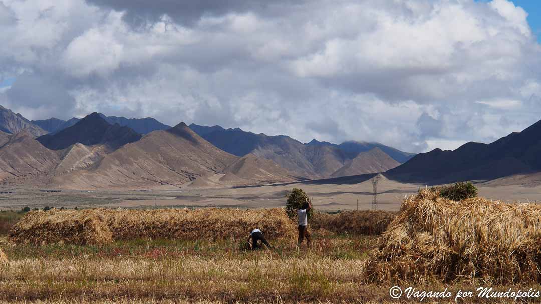que-ver-en-shigatse-tibet