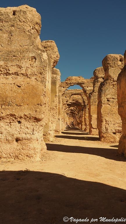 establos-reales-meknes
