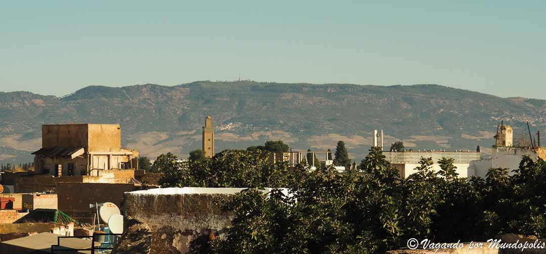 meknes-en-un-dia