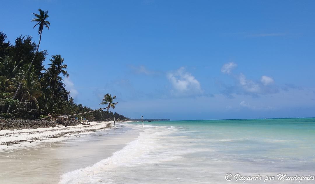 que-hacer-en-zanzibar