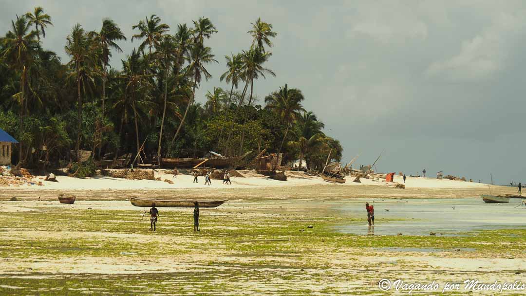 que-hacer-en-zanzibar