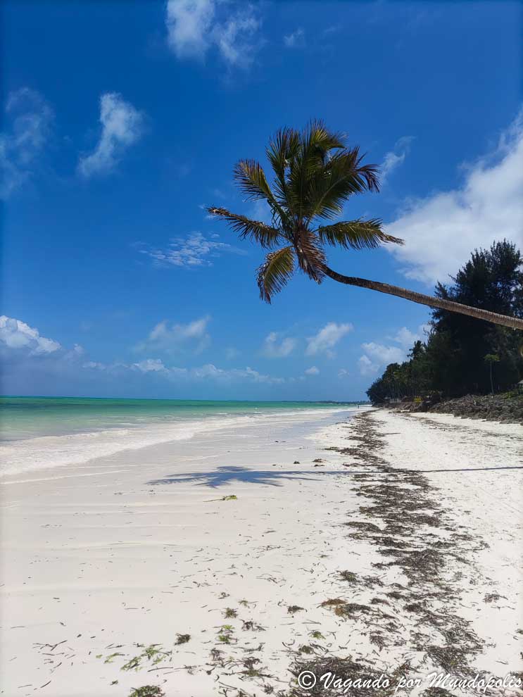 que-hacer-en-zanzibar