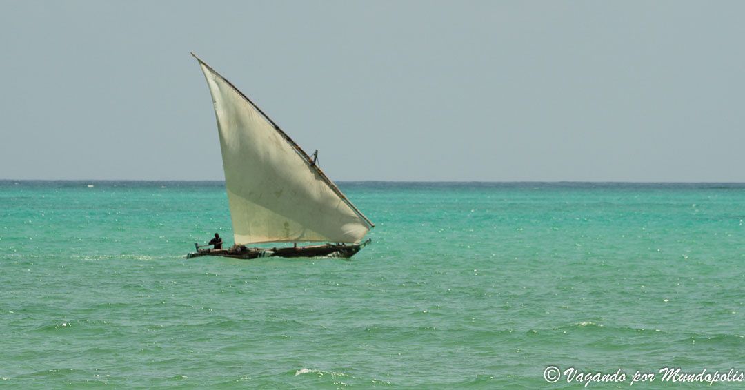 que-hacer-en-zanzibar