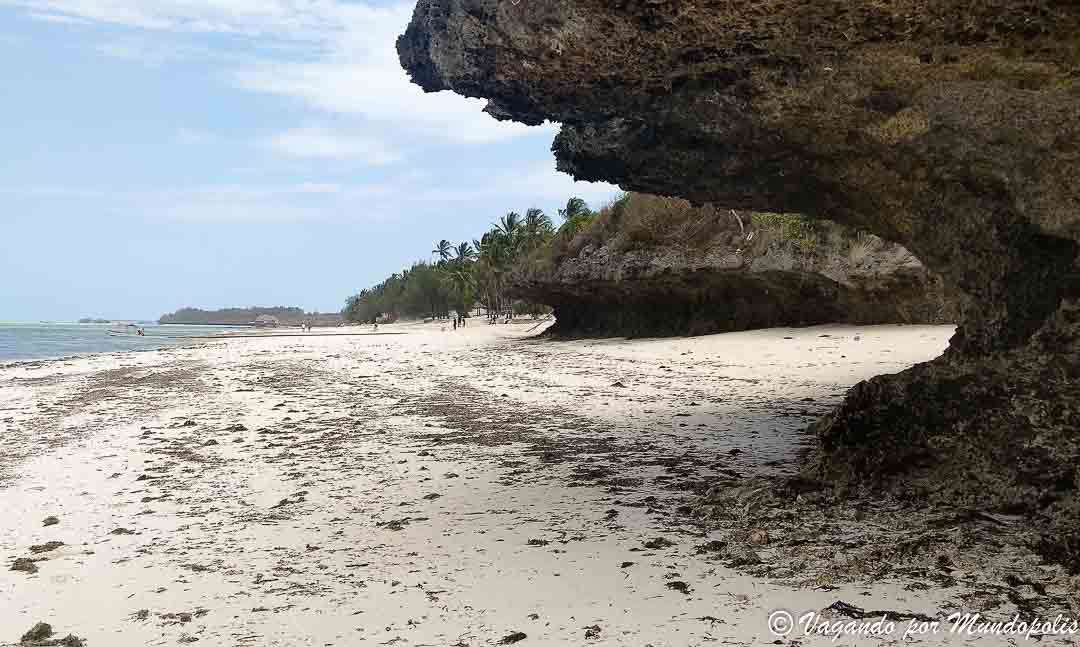 que-hacer-en-zanzibar