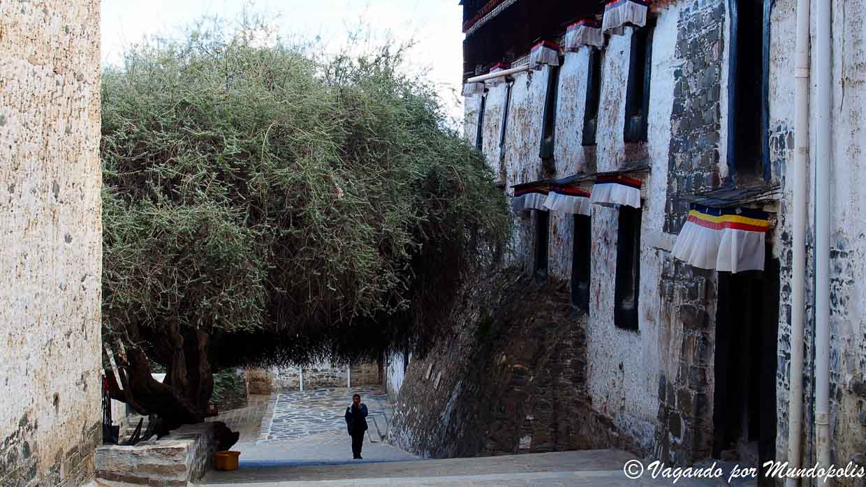 monasterio-tashilhunpo-shigatse