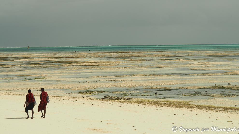 mejores-playas-este-zanzibar