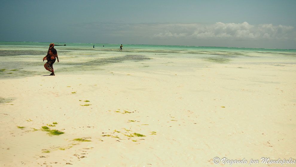 mejores-playas-zanzibar