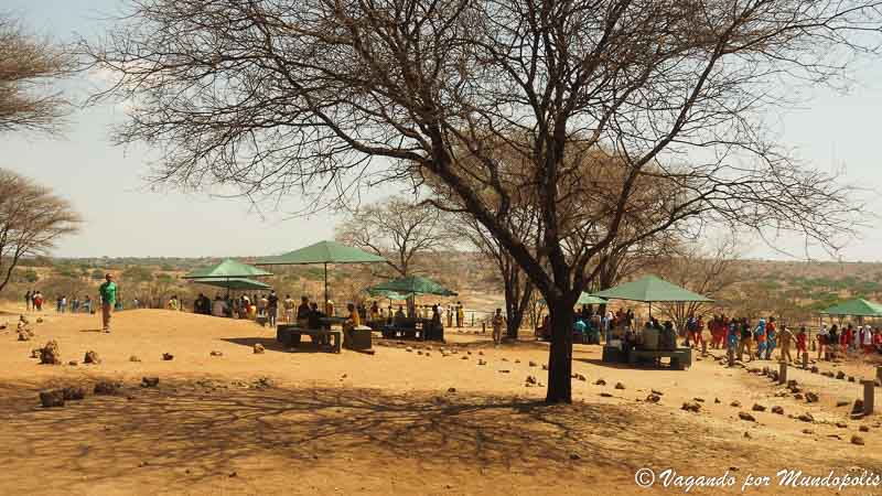 merendero-tarangire-national-park