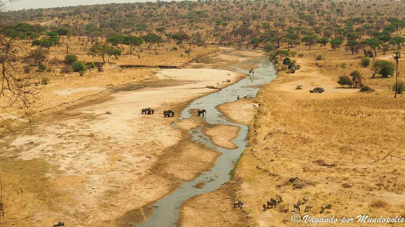 parque-nacional-de-tarangire