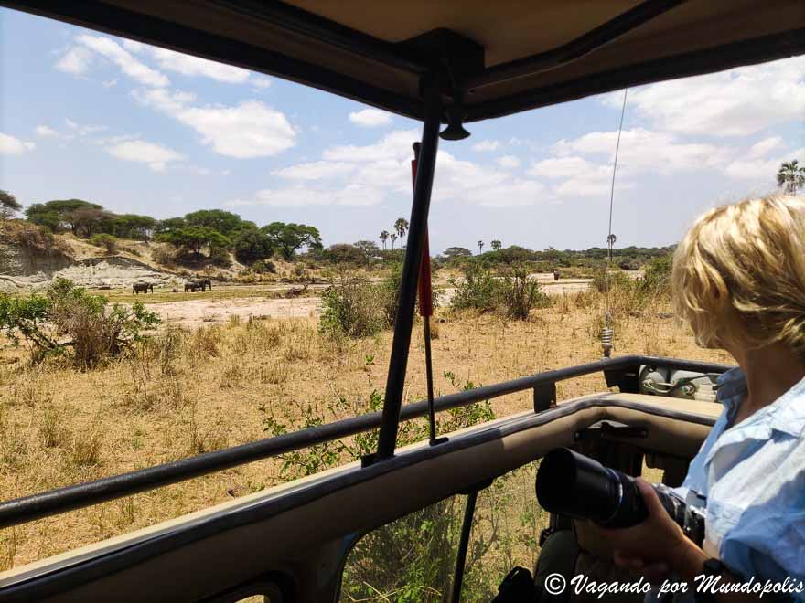 parque-nacional-de-tarangire