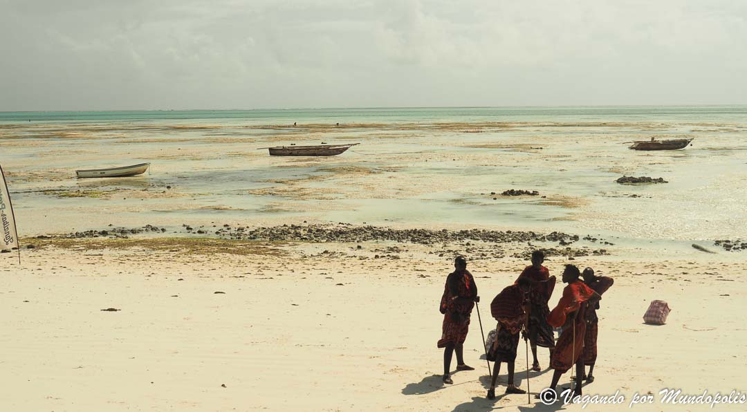 mejores-excursiones-zanzibar