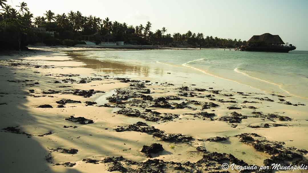the-rock-zanzibar