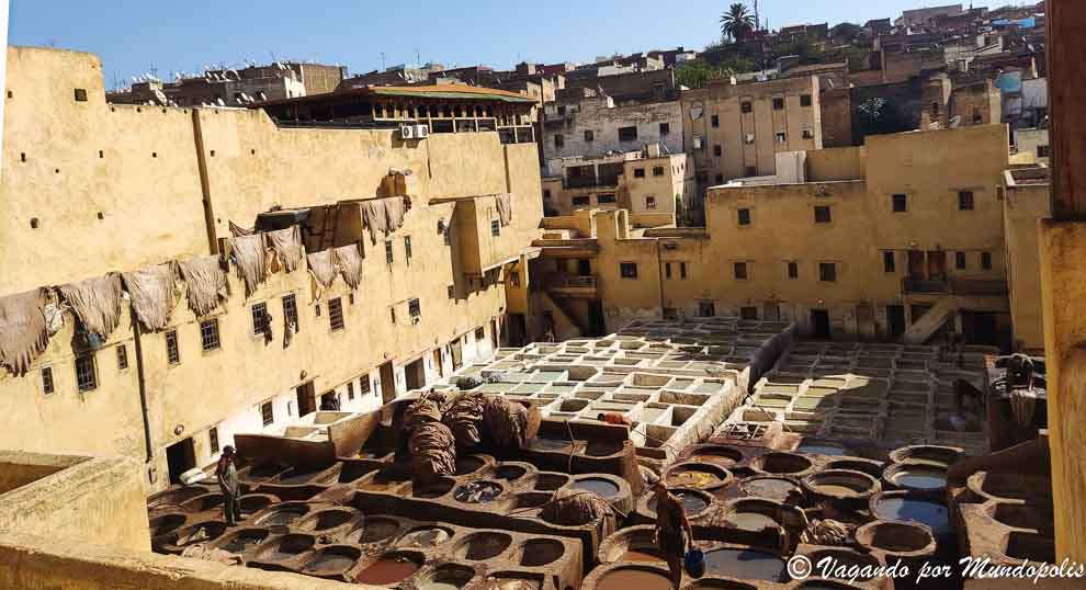 curtiduria-chowara-fez