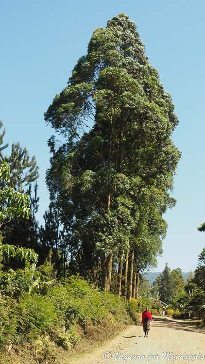 arusha-tanzania