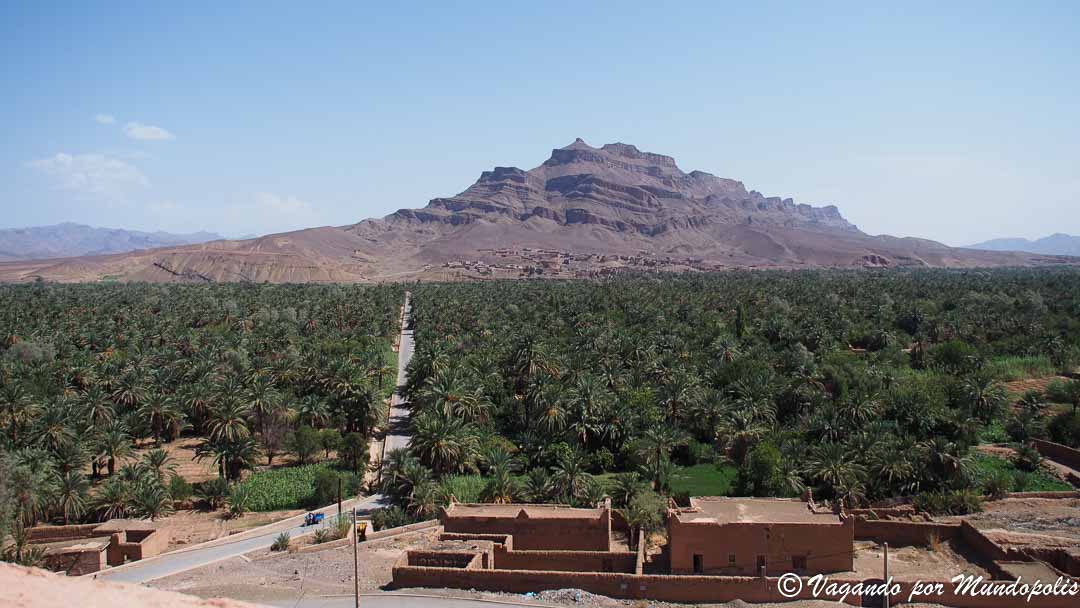 palmeral-valle-draa-marruecos