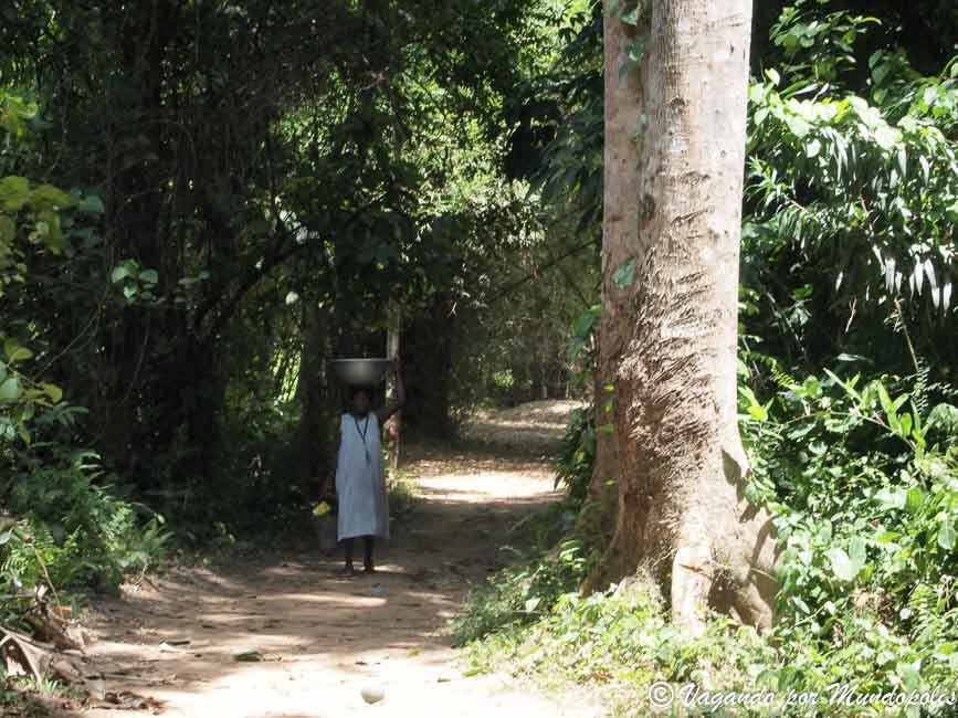  Santuario-Vida-Silvestre-Agumatsa