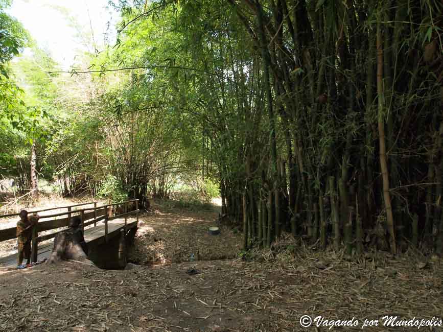 cascadas-wli