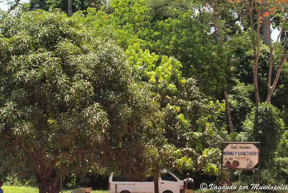 santuario-monos-tafi-atome