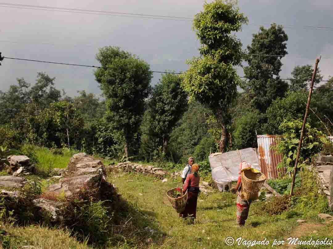 sarangkot