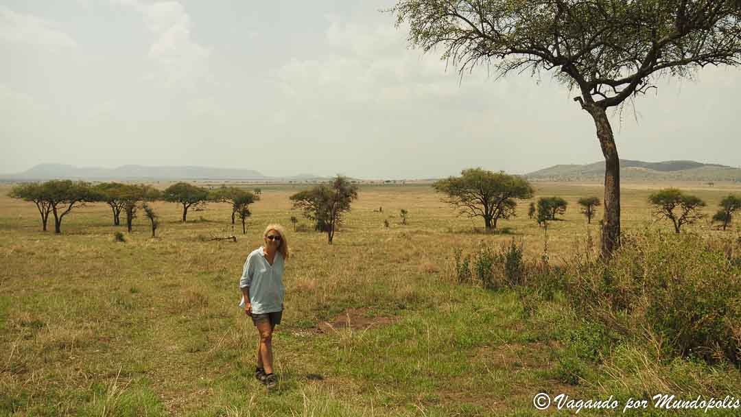 serengueti-safari