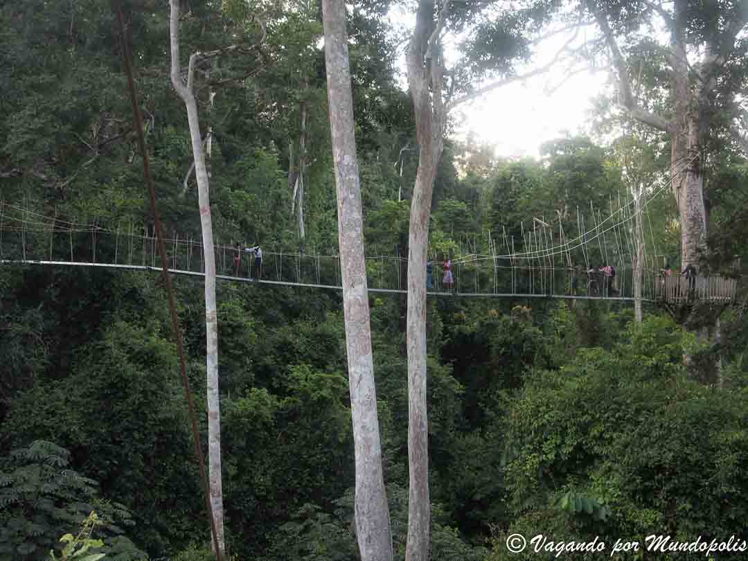 parque-nacional-kakum