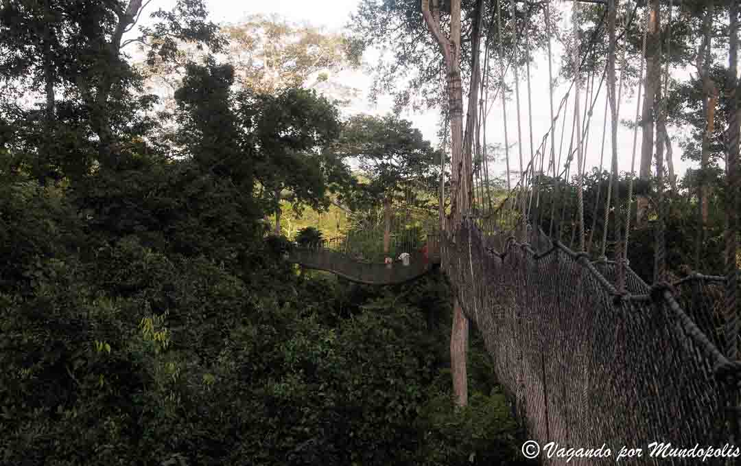 parque-nacional-kakum