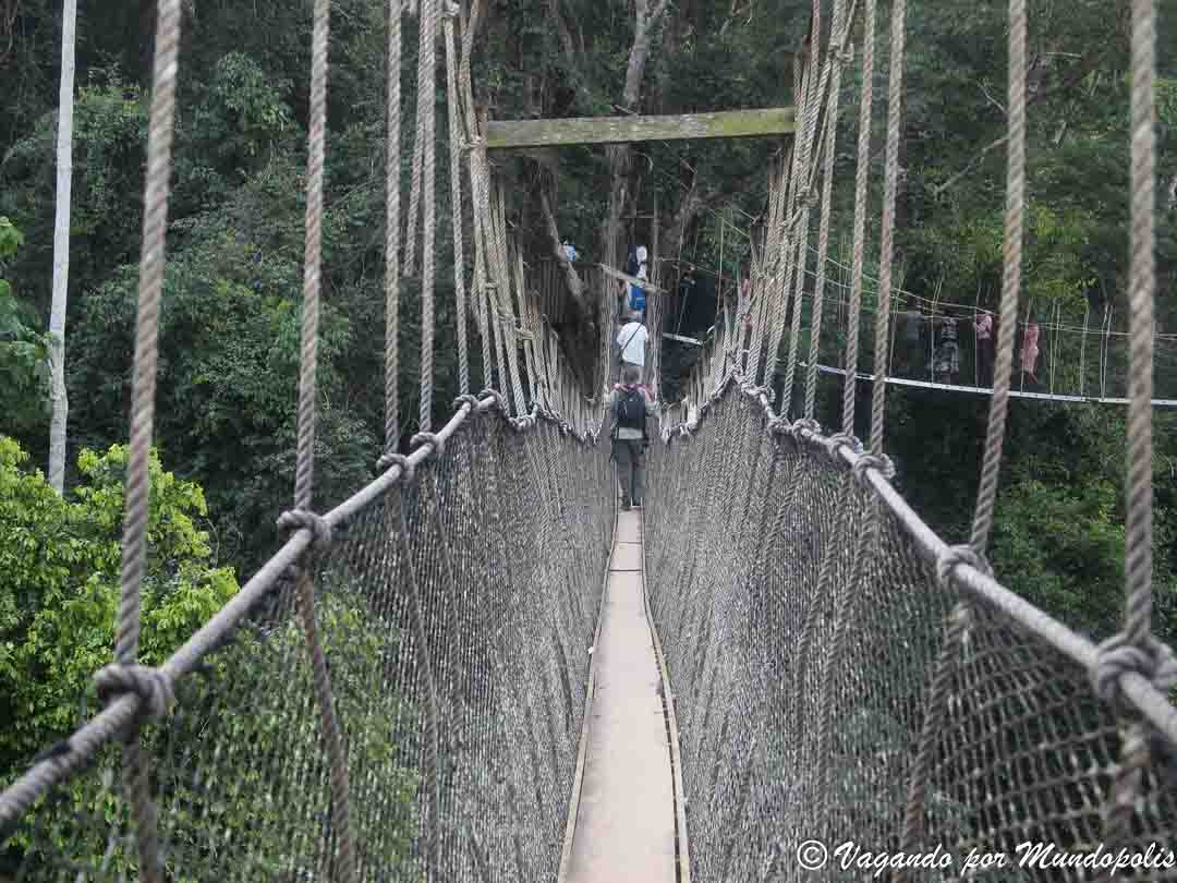 parque-nacional-kakum
