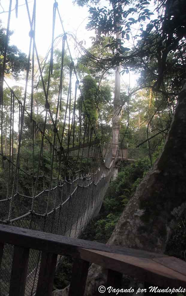 parque-nacional-kakum
