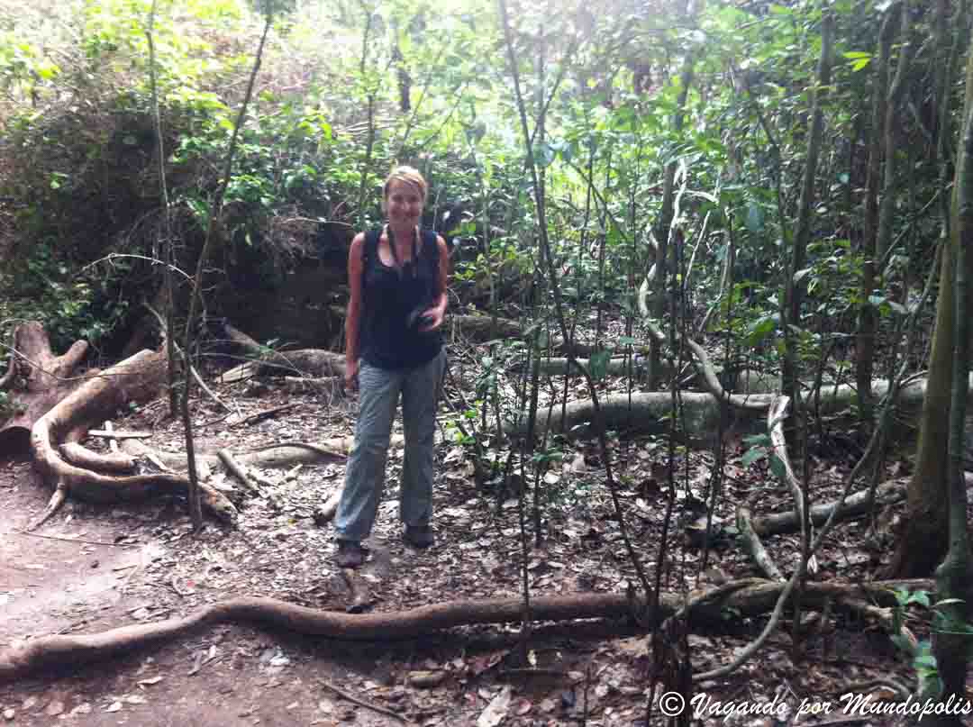 parque-nacional-kakum